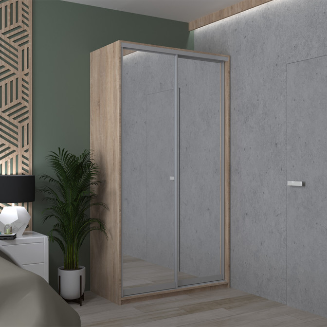 Шкаф-купе Сити Лайт 2 Зеркала 120х60х225 Doros