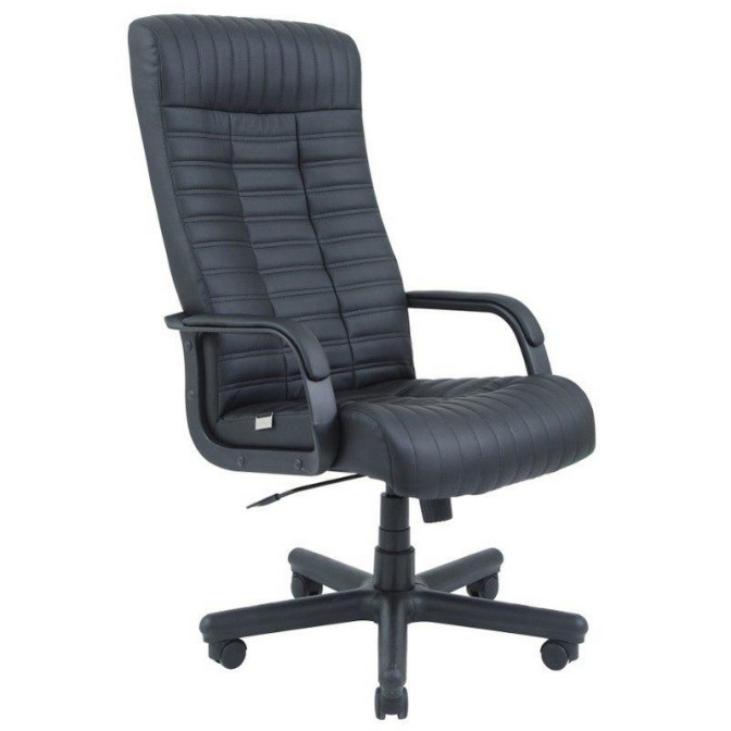 Кресло офисное Прованс Пластик М1 Richman фото