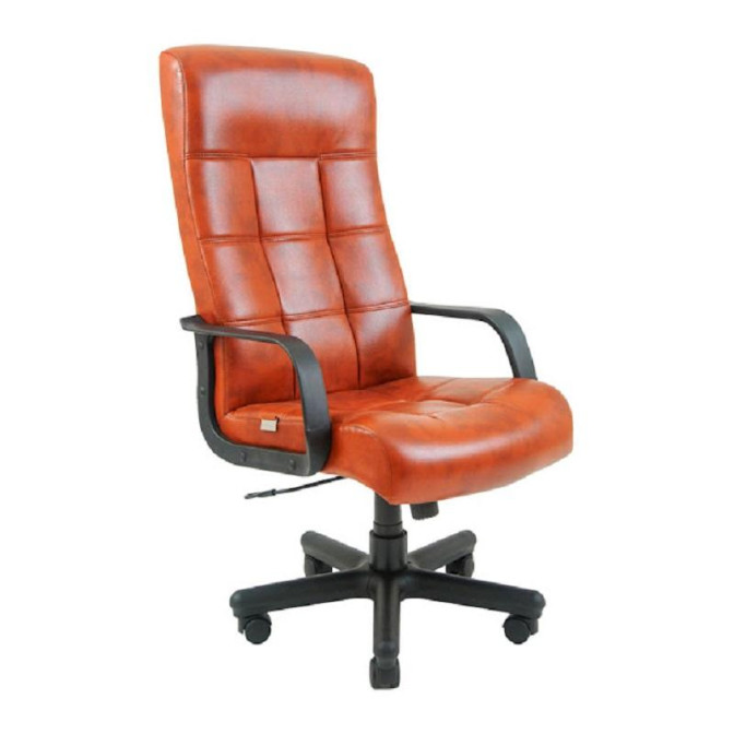 Кресло кожаное Вирджиния Пластик М1 Richman фото