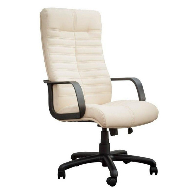 Кресло офисное Орион Пластик М1 Richman фото