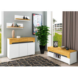 Комплект для гостинной Onyx V (2шт). D. A Blonski