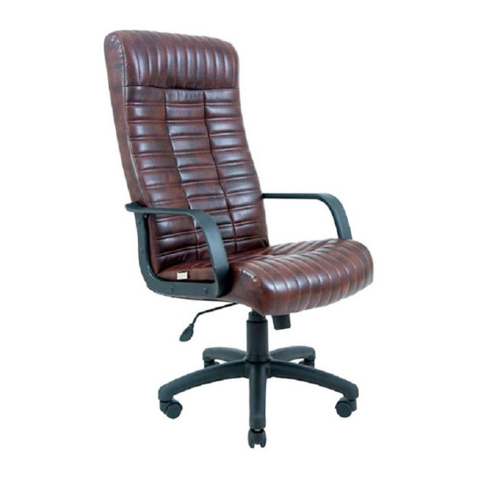 Кресло кожаное Прованс Пластик М1 Richman фото