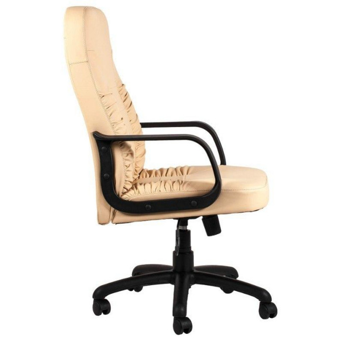 Кресло офисное Техас Пластик М1 Richman фото