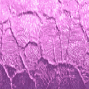 Структура фіолетова+548 грн.