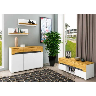 Комплект для гостинной Onyx V (2шт). D. A Blonski