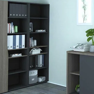 Стеллаж офисный Connect F Intarsio