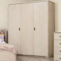 Шкаф Милена 3Д Олимп фото