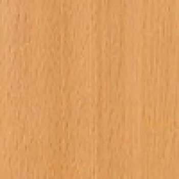 Бук